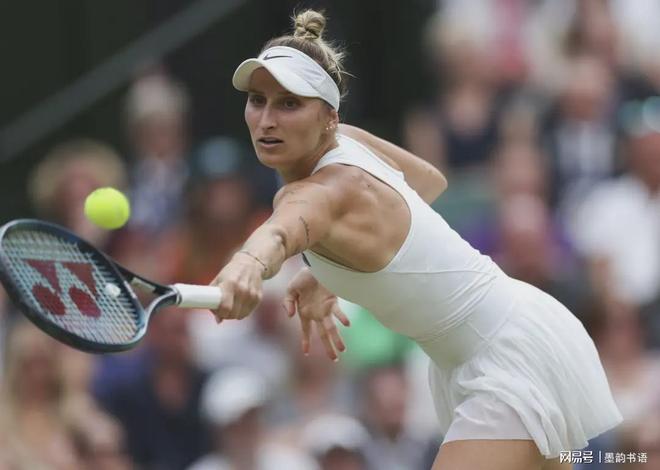 我们看到了 我们看到了